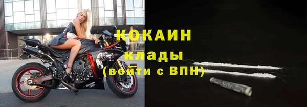 ПСИЛОЦИБИНОВЫЕ ГРИБЫ Балабаново