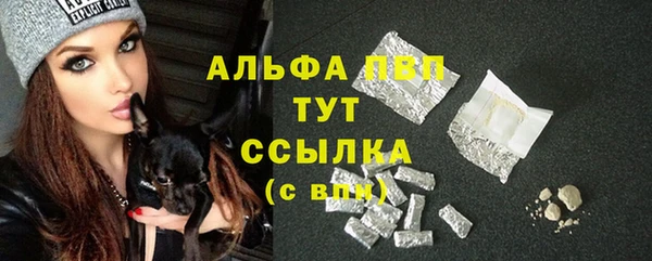ПСИЛОЦИБИНОВЫЕ ГРИБЫ Балабаново