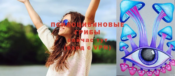 ПСИЛОЦИБИНОВЫЕ ГРИБЫ Балабаново